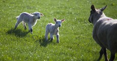 Here's What Happened Today: Thursday