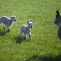 Here's What Happened Today: Thursday