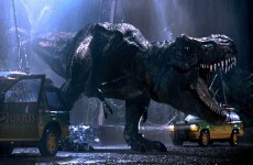 Dinosaurs may have been cannibals