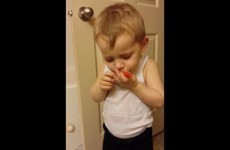 This little boy's emotional send-off to his pet goldfish will give you all the feels