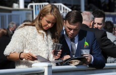 This simple quiz will tell you which horse to back in the Grand National
