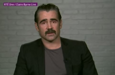 16 Irish celebrities who have pledged their support for same-sex marriage