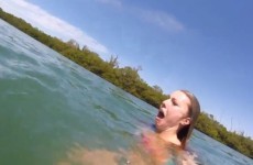 Girl FREAKS the hell out when she's approached by extremely chill manatee