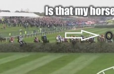 12 emotions all clueless Grand National spectators can relate to