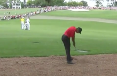 Tiger Woods is in some pain following this really unfortunate shot