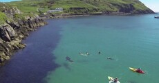 Remember the giant shark spotted in Cork? It's featuring in a new doc
