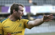Elsom misses out on World Cup captaincy