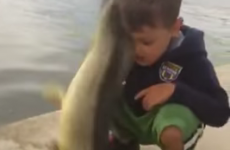 Freshly-caught fish gets its last revenge on unsuspecting little boy