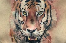 Conor McGregor has brought the Celtic Tiger back