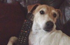 What to watch on TV tonight: Wednesday