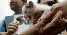 Today’s top stories in 6 seconds