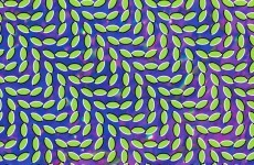 8 optical conundrums that will make your brain hurt