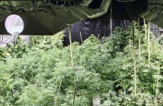 Trafficked woman was locked into cannabis growhouse from the outside