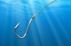 Thieves are fishing keys from homes and sending the stolen cars to Africa