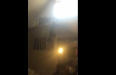 Two stoners were unreasonably impressed with this cat's ability to jump