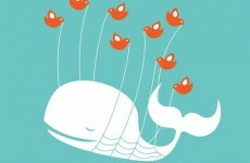 Journalist fools captors into sending Twitter message