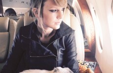 Taylor Swift thinks Calvin Harris will make her cats get fat... It's the Dredge