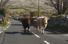 9 driving problems every Irish motorist will understand