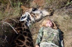 People are outraged this hunter posted a picture with a dead giraffe
