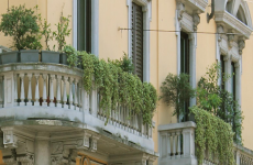 Urban Greening: The simple step we can take to beautifully transform our lives