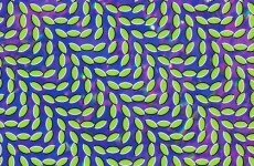 8 optical conundrums that will make your brain hurt
