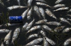 Rio 2016: This is the lake that will host the Olympic rowing events
