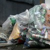 Litterbugs are REALLY bad at paying fines