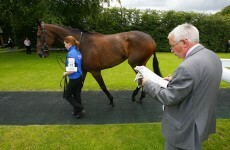 Mark your Card: Your best bets for the weekend's racing
