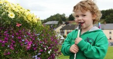 In pictures: Craic agus ceol at Cavan's Fleadh