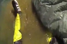 WATCH: A skydiver survived this terrifying landing