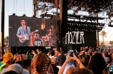 David Guetta joined everyone in praising Hozier at Coachella last night
