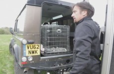 Top Gear's Richard Hammond made a video about how mind numbingly bored he is