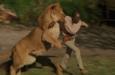 70 People Were Injured While Filming This Movie With 100 Untamed Lions