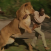 70 people were injured while filming this movie with 100 untamed lions