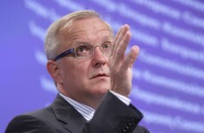 Rehn puts Eurobond proposal back on the table