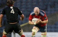 Munster and Toulon in full agreement, calling mooted Paul O'Connell move 'pure speculation'