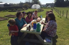 Two Irish community gardens to whet the appetite for growing
