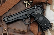 Police capture terror suspect after he accidentally shoots himself