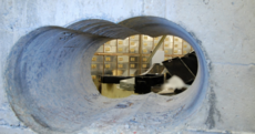 Here's how thieves stole £200 million in gold, jewels and diamonds