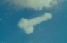 11 facts about penises everyone should know