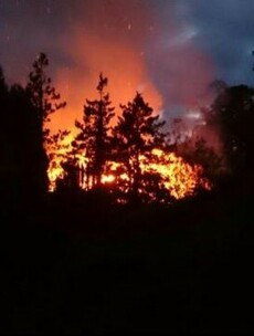 Pictures: Four fire units responded to a huge blaze in south Dublin last night