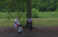 There's nothing to make you feel better like watching a pro golfer hit the ball one yard