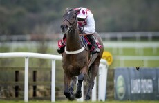 3 longshots who could win you a few quid on day one of the Punchestown Festival