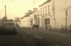 Two donkeys had a row in the middle of the street in Cavan