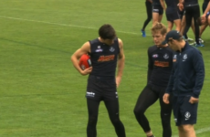 The injury woes continue for Irish players in the 2015 AFL season