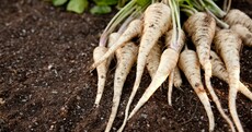Plucky Parsnips: How to grow this versatile crop (plus other tips for May)