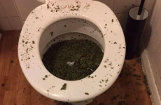 This is NOT how you flush cannabis down the toilet
