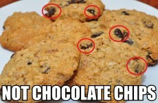 7 reasons why raisins are the devil's fruit