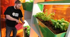 Toys for robots, a wine pouring machine and bellybutton swabs. The homes of the future...
