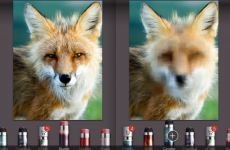 5 apps worth downloading this week